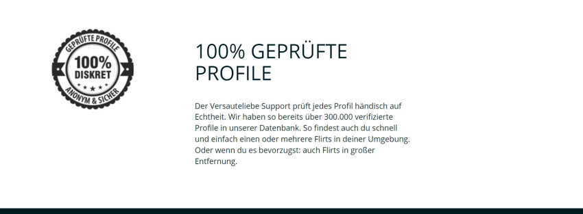 seitensprung Portale